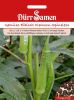 Okra "Clemson Spineless" - Abelmoschus esculentum