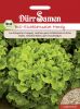 Eichblattsalat "Hardy" - Lactuca sativa (Bio-Samen)