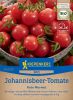 Wildtomate / Johannisbeertomate "Rote Murmel" - Solanum pimpinellifolium (Bio-Samen)