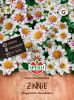 Zinnia elegans 