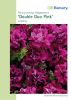 Petunia hybrida "Double Duo Pink" - Hngepetunie