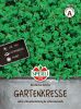 Gartenkresse "Einfache Grne" - Lepidum sativum