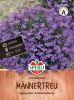 Lobelia erinus "Kristallpalast" - Mnnertreu