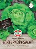 Winter-Butterkopfsalat "Nansen