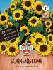 Helianthus annuus "Waooh" - Sonnenblume