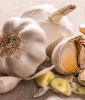 Winterknoblauch - Allium sativum