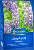 Dngelupine "Blau" - Lupinus angustifolius - Grndnger