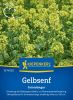 Gelbsenf - Sinapis alba - Grndnger