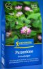Perserklee - Trifolium resupinatum - Grndnger