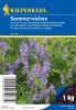 Sommerwicken 1 kg - Vicia sativa - Grndnger