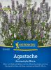 Agastache rugosa - Koreanische Minze