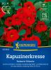 Tropaeolum minus "Kaiserin Viktoria" - Kapuzinerkresse