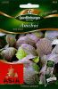 Asia-Salat "Amchoi Red Giant" - Brassica juncea