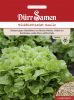 Eichblattsalat "Smile" - Lactuca sativa