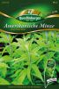 Amerikanische Bergminze "Mountain Mint" - Pycnanthemum pilosum