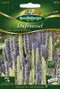 Agastache foeniculum "Blau-Weie Mischung" - Duftnessel
