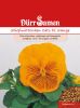 Viola wittrockiana "Cats F1 Orange" - Stiefmtterchen