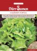 Kopfsalat "Ovation" - Lactuca sativa var. capitata