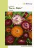 Helichrysum bracteatum 