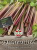 Stangensellerie "Giant Red" - Apium graveolens