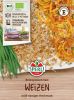 Keimsprossen "Weizen" - Triticum aestivum (Bio)