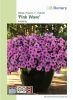 Petunia hybrida "Wave� F1 Pink" - H�ngepetunie