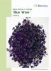 Petunia hybrida "Wave F1 Blue" - Hngepetunie