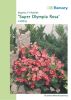 Begonia semperflorens "Super Olympia F1 Rosa" - Eisbegonie