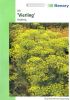 Anethum graveolens "Vierling" - Dill