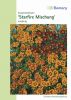 Tagetes tenuifolia "Starfire Mischung" - Studentenblume