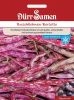 Buschbohne "Borlotto" - Phaseolus vulgaris