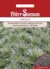Wermut - Artemisia absinthium
