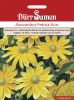 Rudbeckia hirta "Prairie Sun" - Sonnenhut
