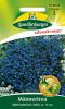 Lobelia erinus "Kristallpalast" - Mnnertreu