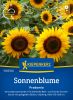 Helianthus annuus "Pradomio" - Sonnenblume