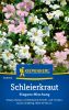 Gypsophila elegans "Mischung" - Einjhriges Schleierkraut