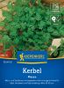 Kerbel 