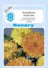 Calendula officinalis "Pacific Mix" - Ringelblume