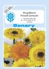 Calendula officinalis "Prinze Gemischt" - Ringelblume