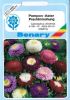 Callistephus chinensis "Pompon-Aster Mischung" - Sommer-Aster