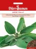 Salbei "Fanni" - Salvia officinalis