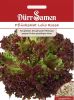Pflücksalat "Lollo rossa" - Lactuca sativa