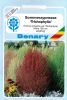 Kochia scoparia "Trichophylla" - Sommerzypresse