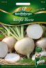 Weie Beete "Avalanche" - Beta vulgaris var. conditiva