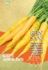 Mhren "Jaune du Doubs" - Daucus carota (Bio-Samen)