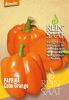 Paprika "Cubo Orange" - Capsicum annuum (Bio-Samen)