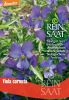 Viola cornuta - Hornveilchen (Bio-Samen)