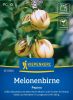 Melonenbirne "Pepino" - Solanum muricatum