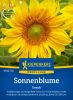 Helianthus annuus "Snack" - Sonnenblume