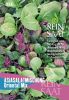 Asia-Salat Mischung "Oriental Mix" - Brassica rapa, Brassica juncea (Bio-Samen)